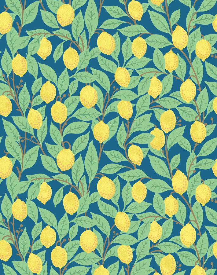 Nathan Turner Cadet Blue Lemons Wallpaper - Vintage Floral Peel and Stick Wallpaper for Kitchen, Bathroom, and Nursery Decor