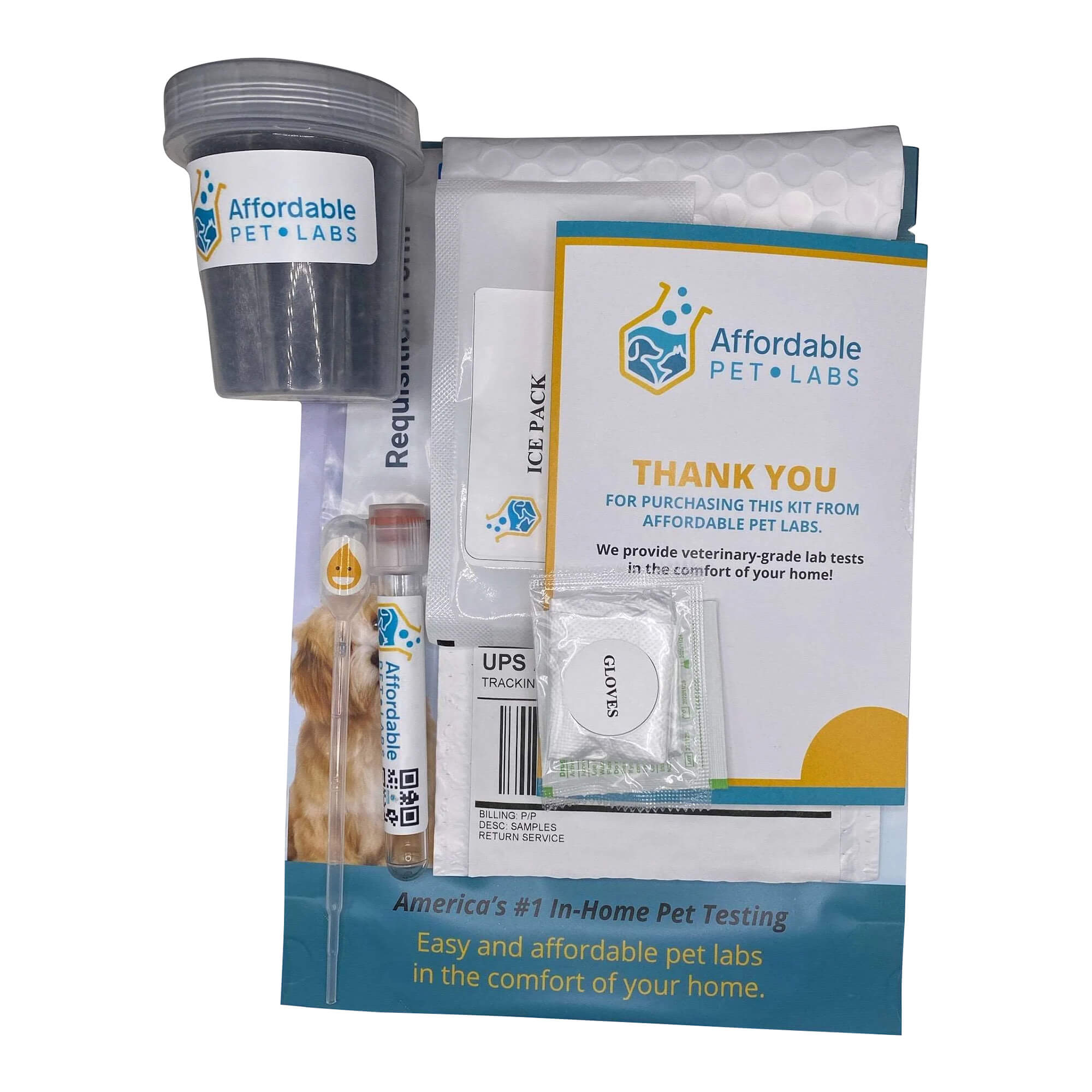 Affordable Pet Labs Combo Complete Urinalysis & Fecal Test Kit for Cats - Easy At-Home Health Screening for UTI, Kidney & Digestive Issues | Perfect for Routine Checkups & Early Disease Detection