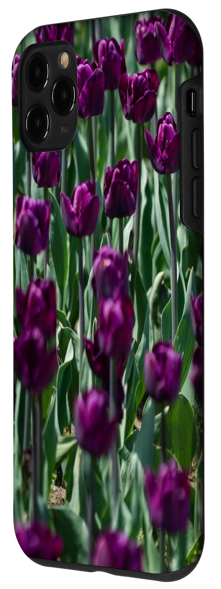 Premium iPhone 11 Pro Case - Purple Tulip Design | Shockproof & Slim Protective Cover | Perfect for Everyday Use, Travel & Outdoor Activities