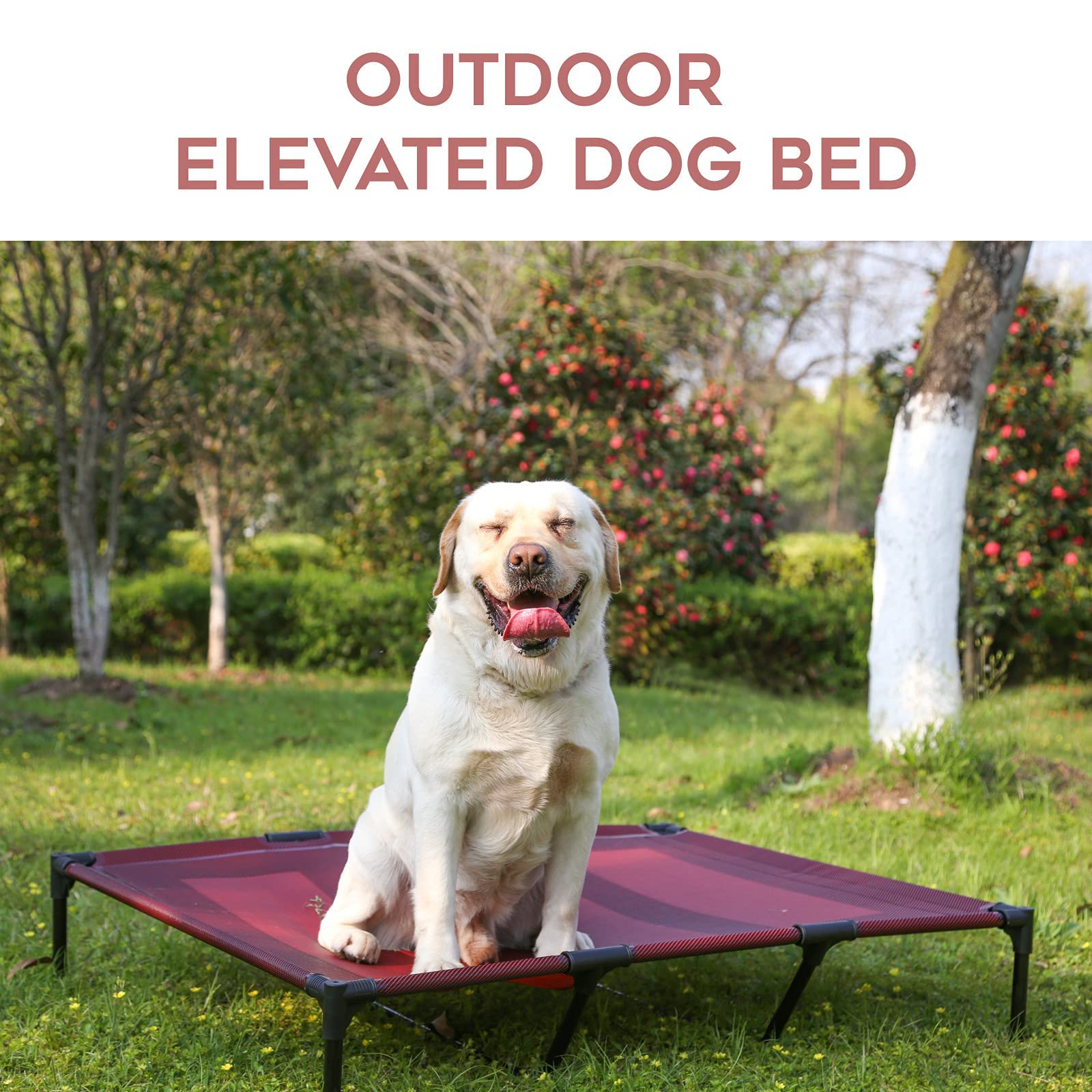 SUDDUS Elevated Dog Bed - Waterproof & Portable Raised Pet Cot for Indoor/Outdoor Use - Easy to Clean Off-Floor Cooling Bed for Medium Dogs (Red) - Perfect for Camping, Patio & Home Comfort