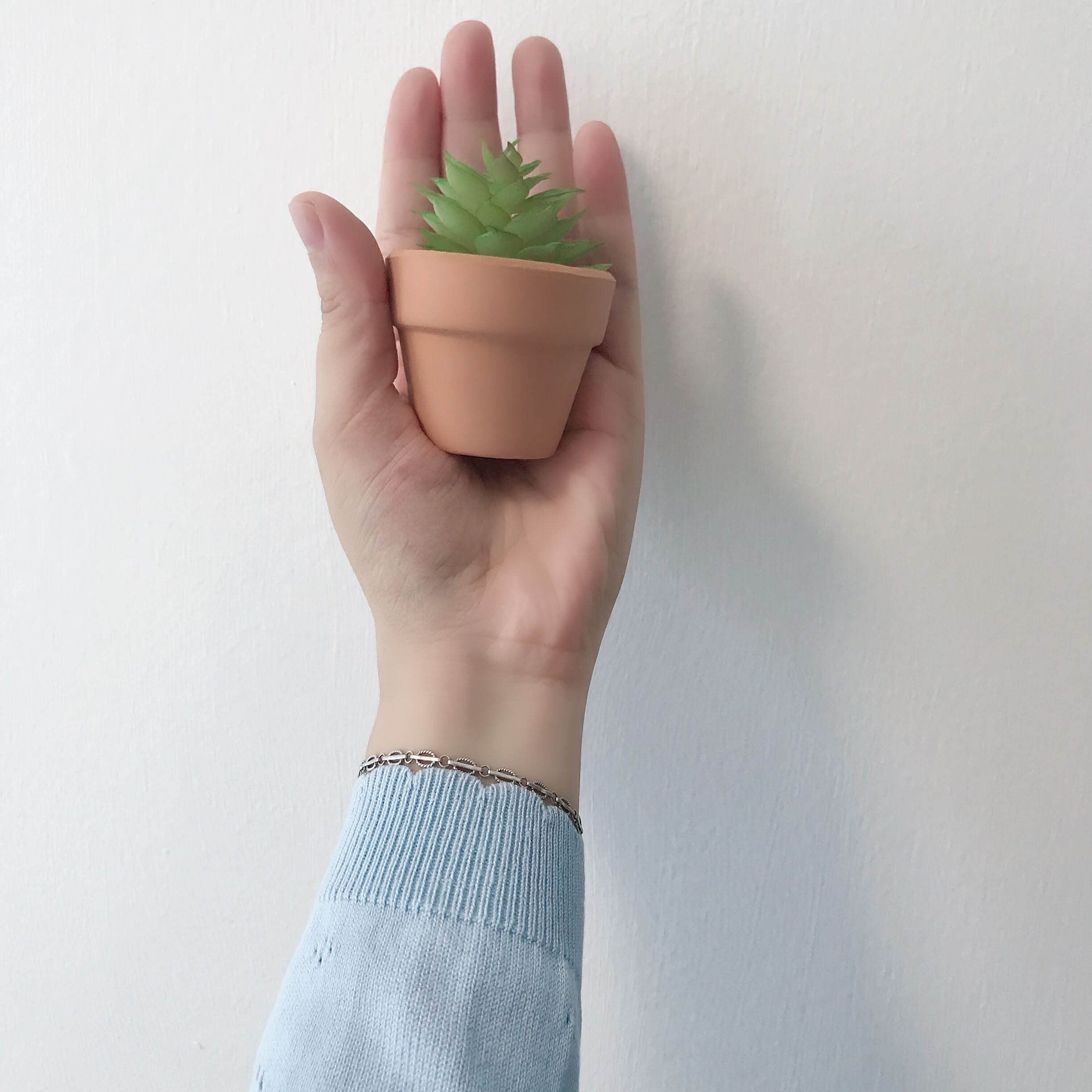 Boho Macrame Hanging Car Plant Decor - Mini Succulent Hanger for Rearview Mirror, Cute Car Accessories | Perfect for Road Trips, Office Desk & Home Décor
