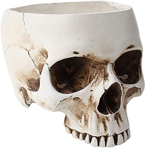 Skull Flower Pot - Resin Skull Shaped Planter for Succulents & Small Plants | Gothic Home & Office Desk Decor | Unique Gift for Halloween & Gothic Lovers