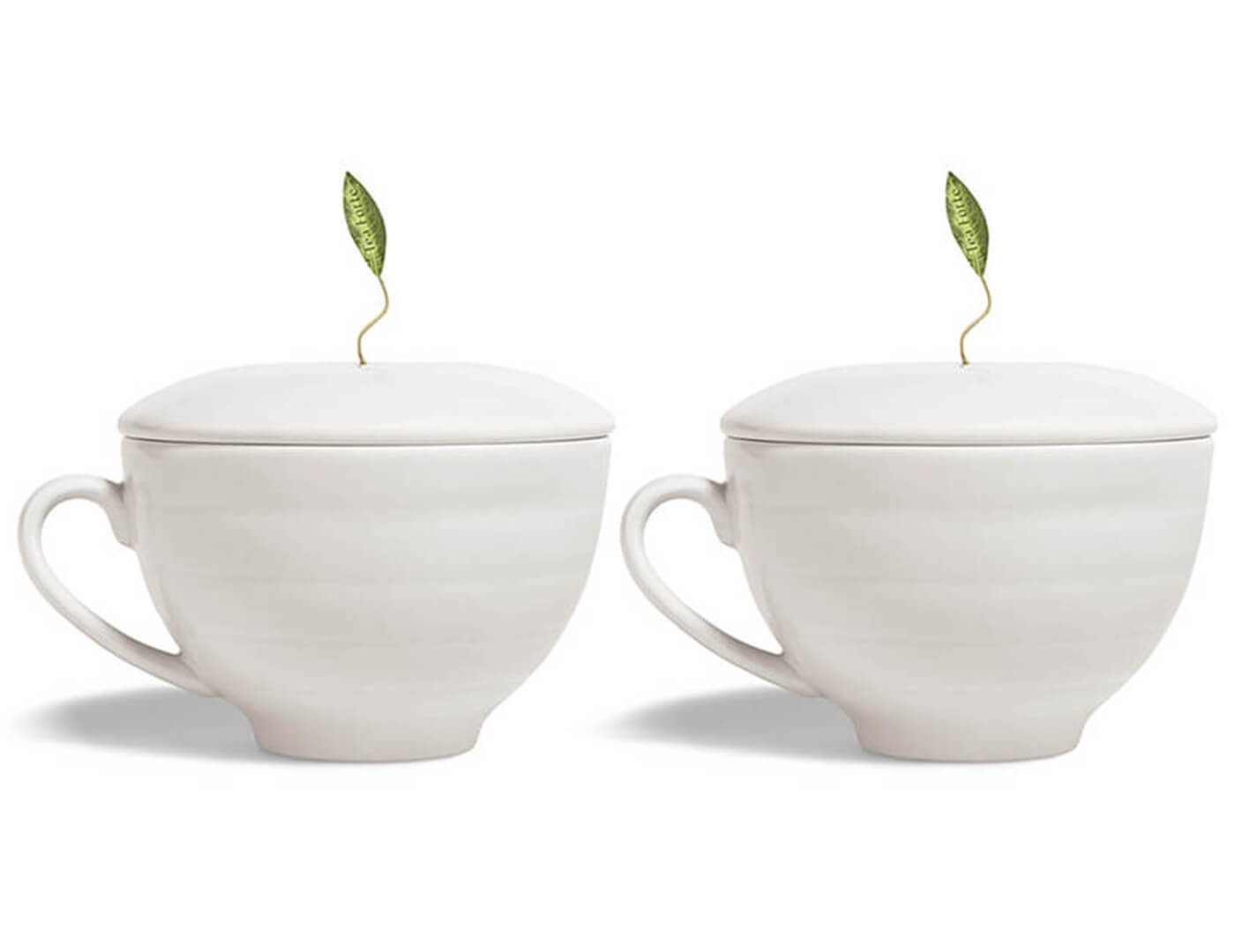 Premium Tea Gift Set with Elegant Cafe Cups - Perfect for Afternoon Tea, Gifts & Relaxation Moments