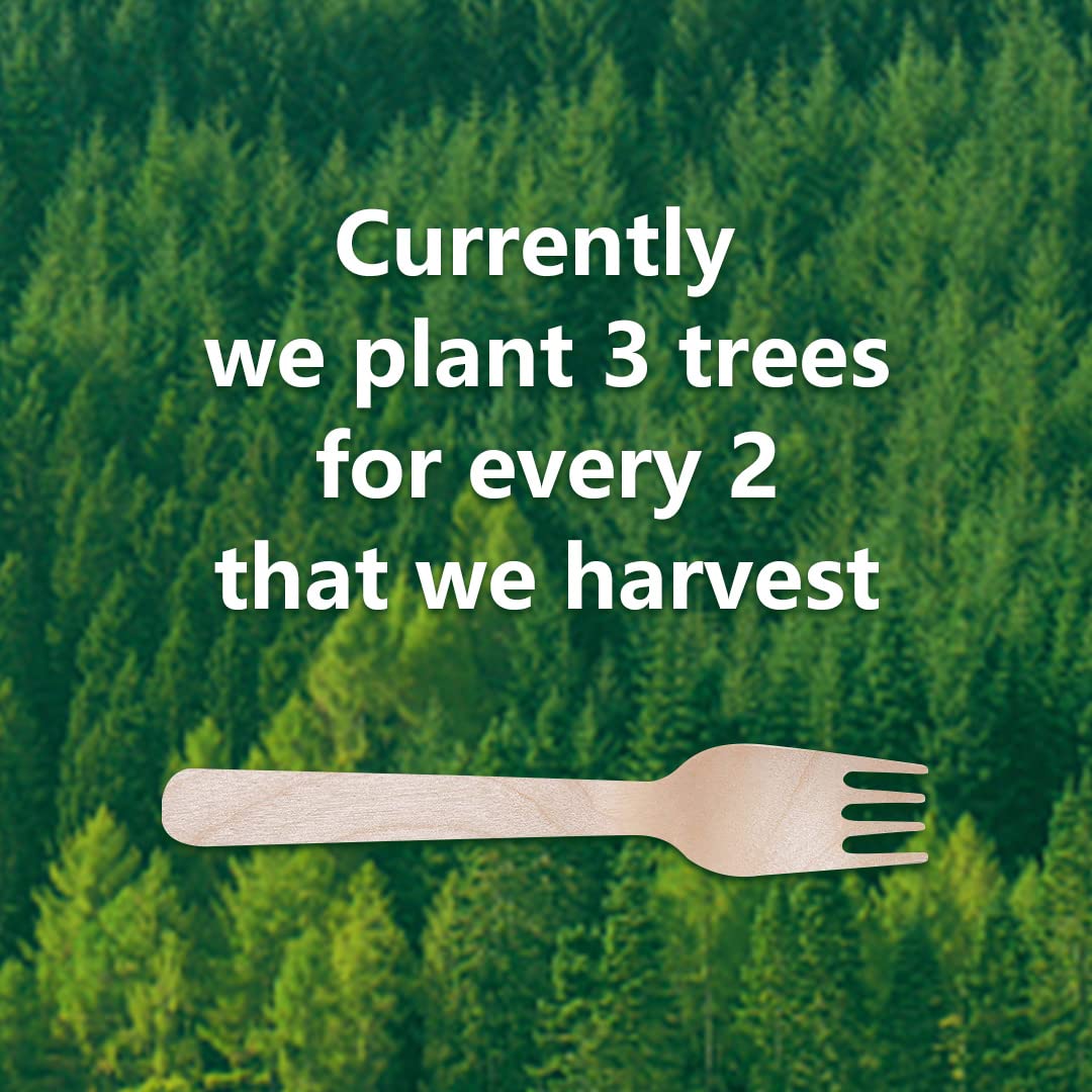 Eco-Friendly Disposable Wooden Cutlery Set - 360 Pieces (180 Forks, 90 Spoons, 90 Knives) | Biodegradable Utensils for Parties, Picnics & Catering Events