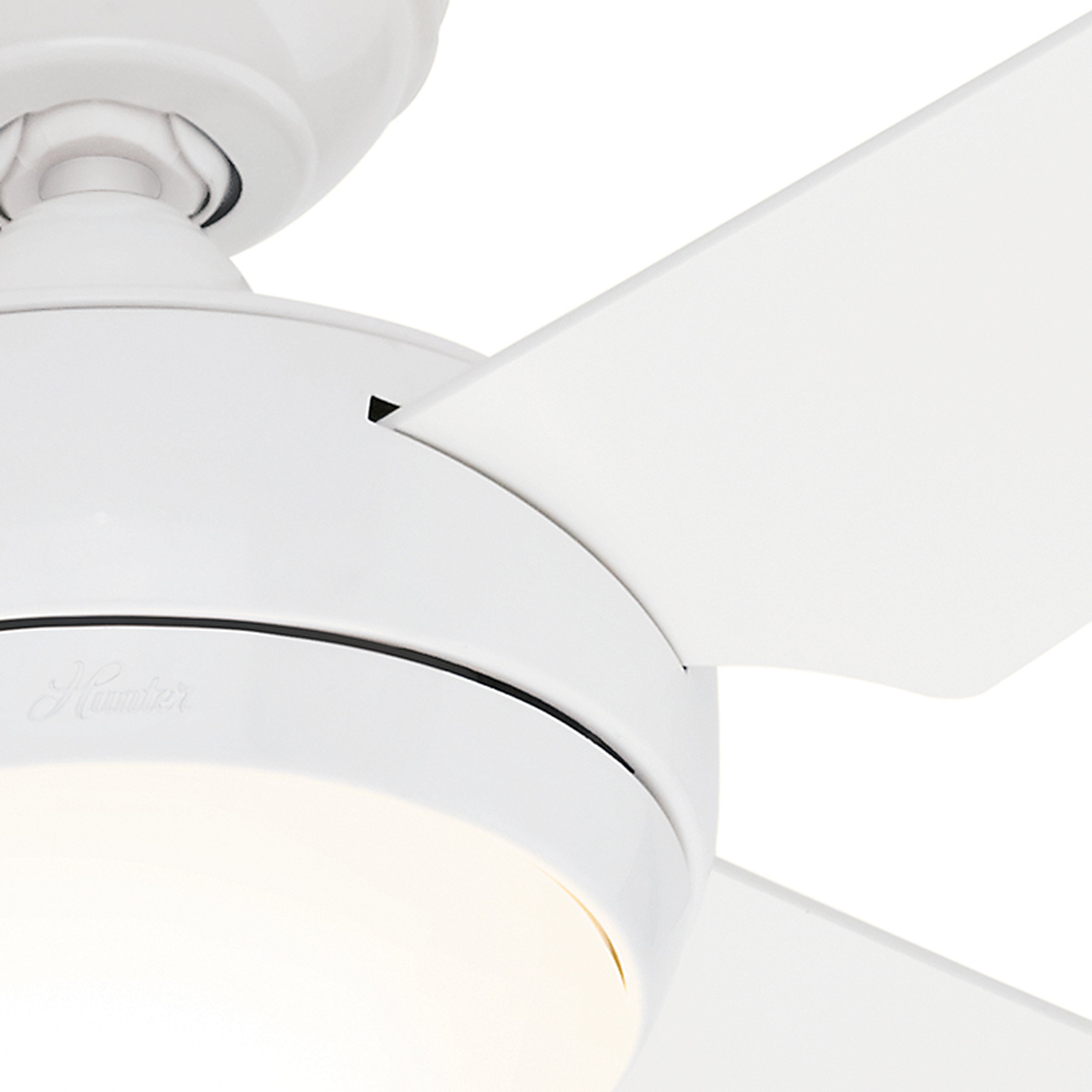 Hunter Fan 52 Inch White Ceiling Fan with Reversible Blades - White/Maple Finish (Renewed) - Perfect for Living Room, Bedroom & Outdoor Spaces