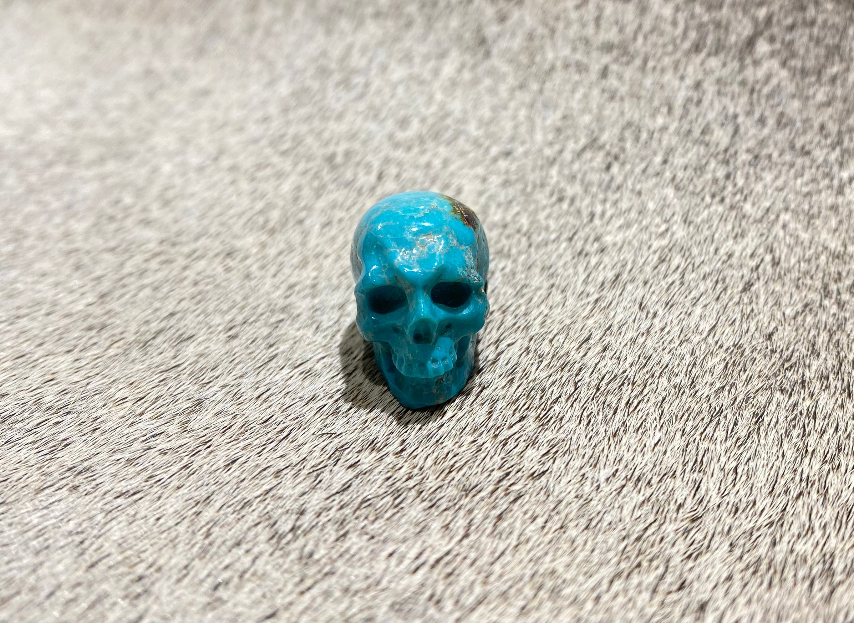 Turquoise Fox Skull Decor - Unique Gothic Home Decor for Halloween, Witchy Aesthetic & Dark Academia Room Decor
