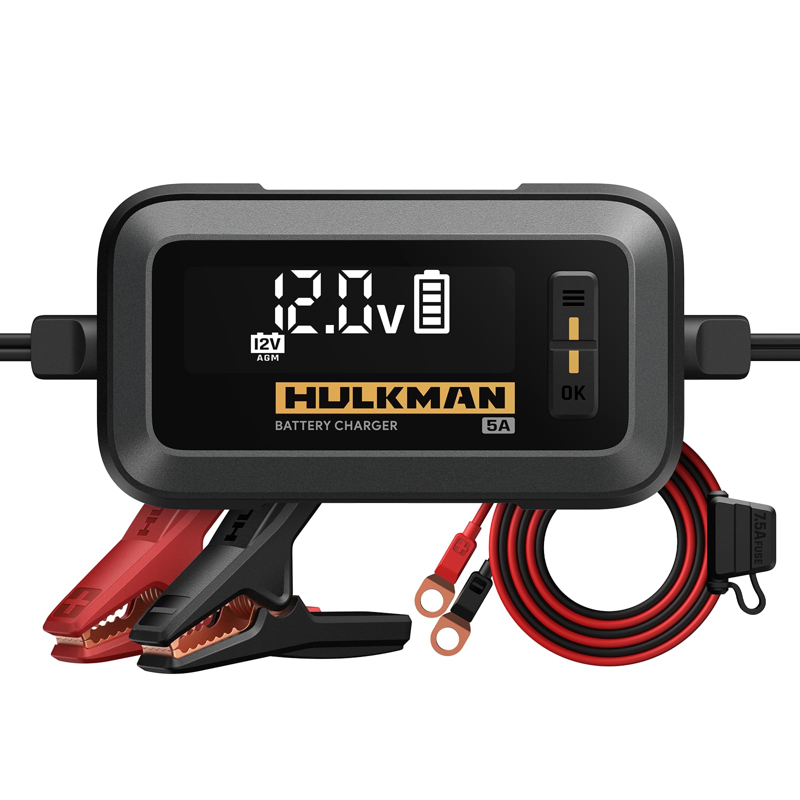 Hulkman Sigma 5A 6V/12V Smart Car Battery Charger with 3.2