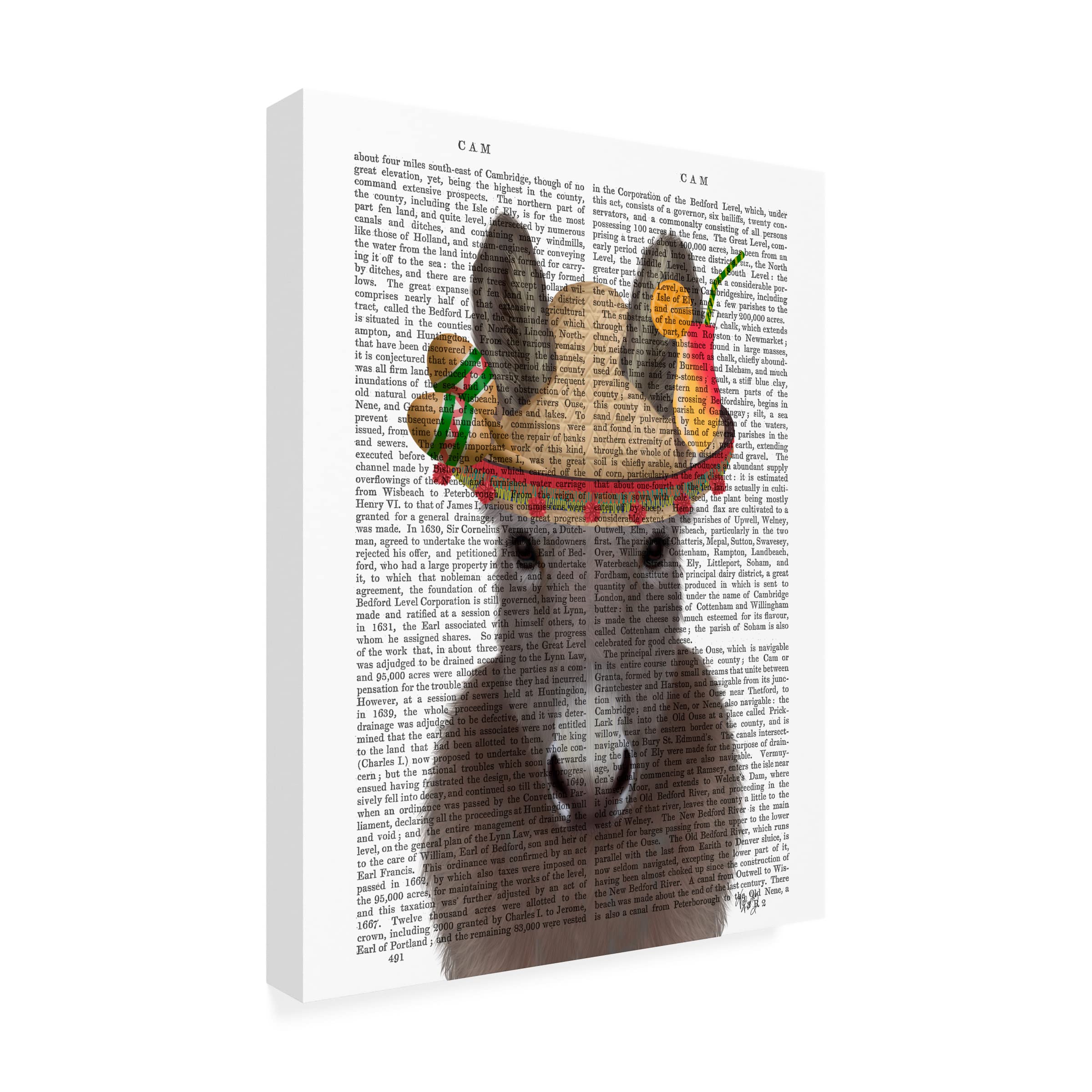 Trademark Fine Art 'Donkey Sombrero Book Print' Canvas Wall Art by Fab Funky - Perfect for Home Decor, Office & Gift Giving