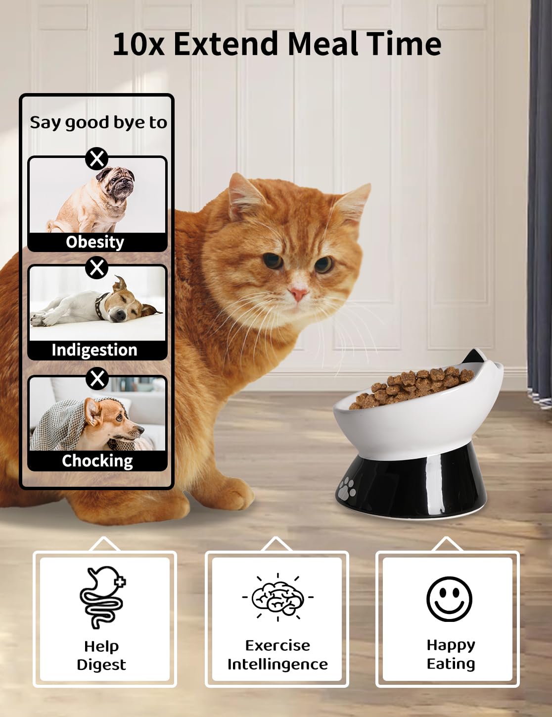 Slow Feeder Cat Bowl with Non-Slip Silicone Base - 6 Inch Elevated Ceramic Pet Food Dish for Dogs & Cats - Anti-Vomiting Design for Dry & Wet Food (White) - Perfect for Fast Eaters & Digestive Health