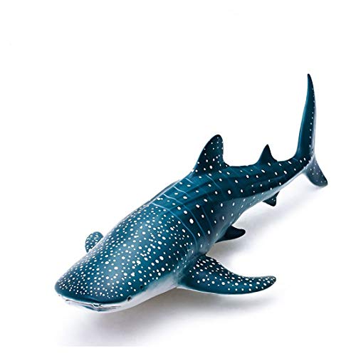 Whale Shark