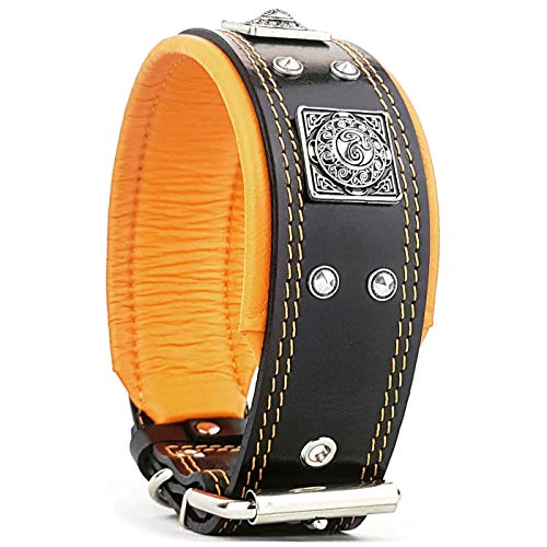 Orange Cushion