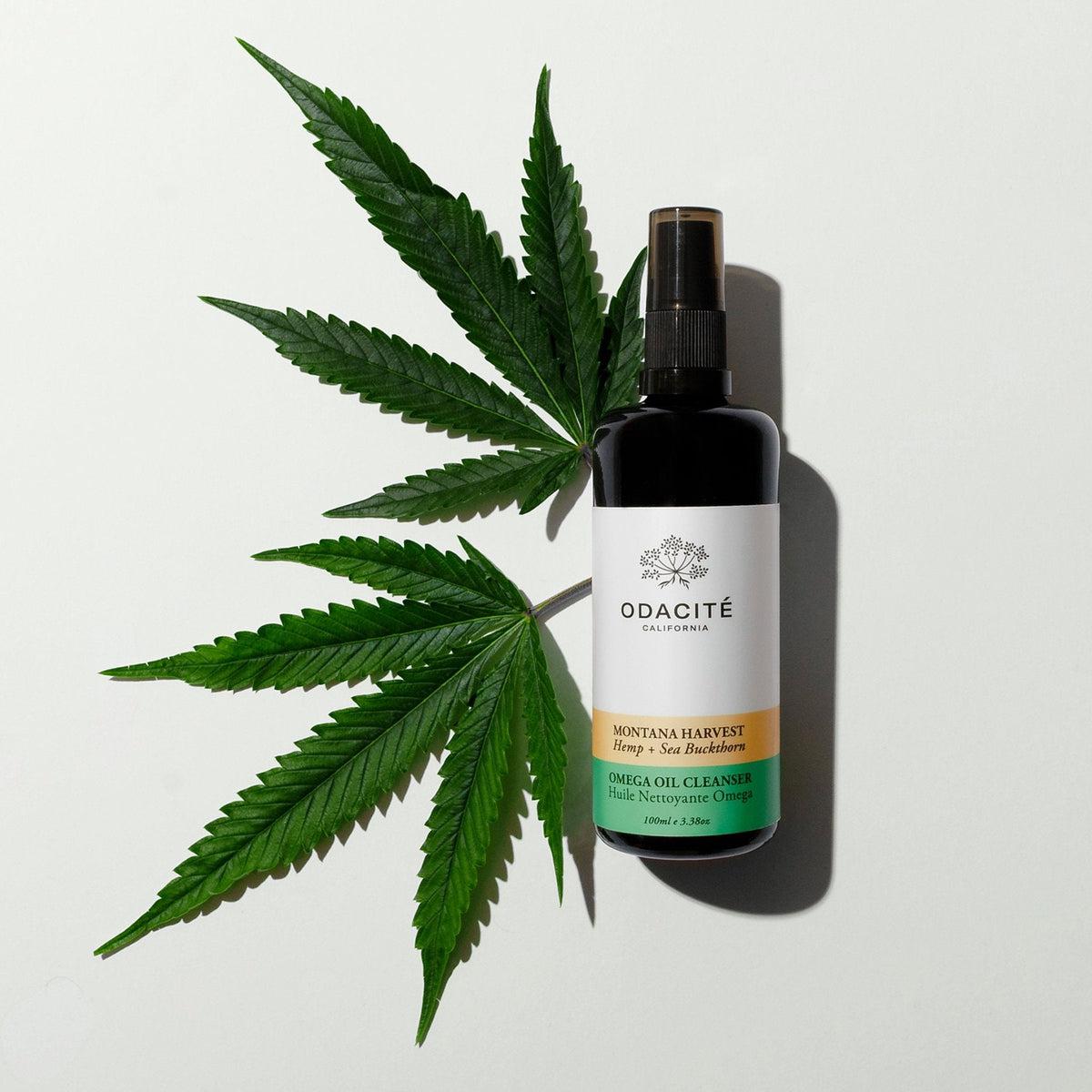Montana Harvest Omega Oil Cleanser - Organic Facial Cleansing Oil for Dry & Sensitive Skin - Hydrating & Nourishing for Daily Skincare Routine