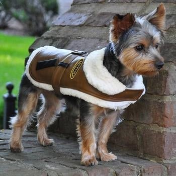 Stylish Brown & Black Faux Leather Bomber Jacket Dog Coat with Matching Harness & Leash Set - Perfect for Winter Walks & Outdoor Adventures