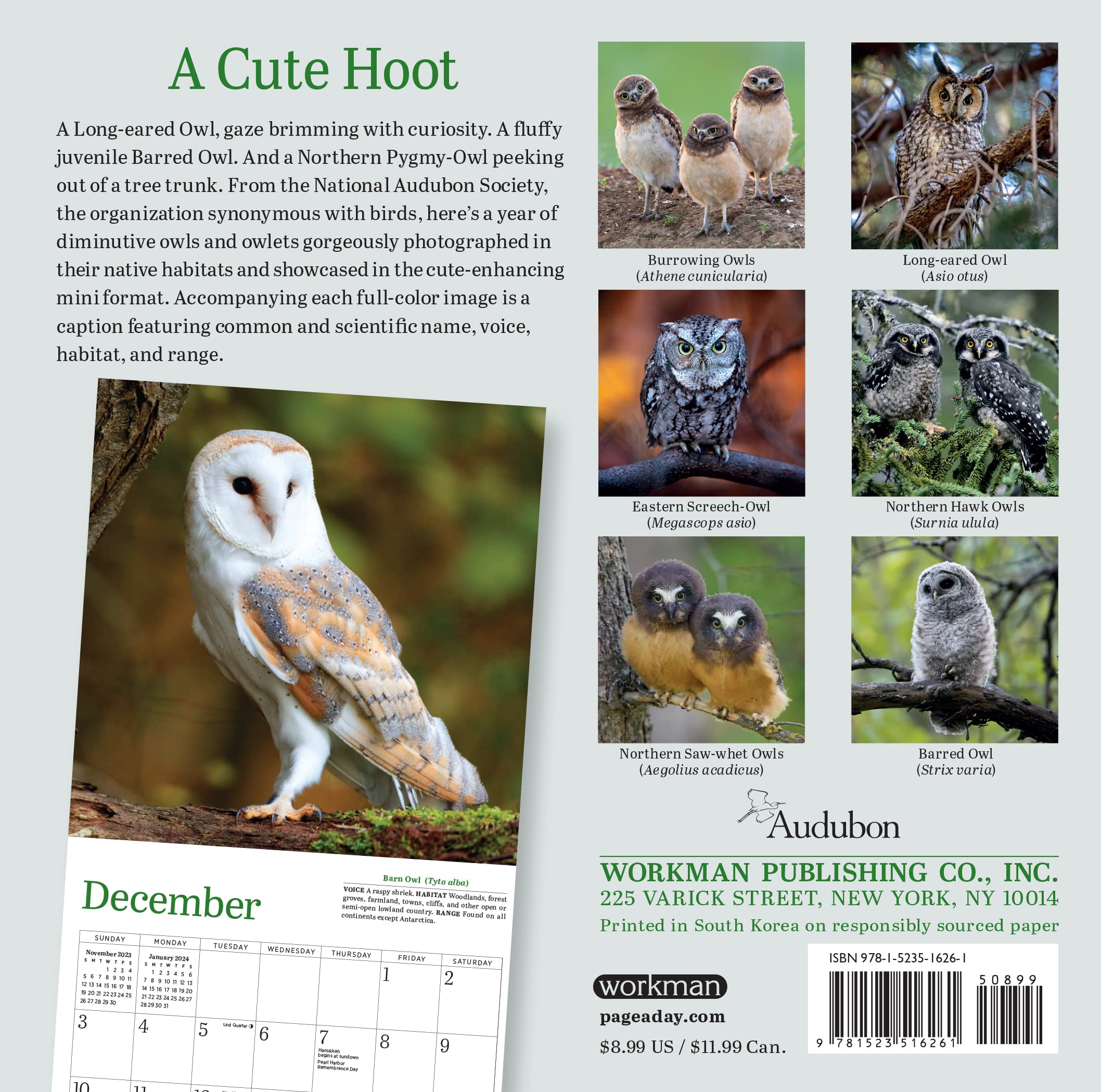 Audubon Little Owls Mini Wall Calendar 2023 - Cute Fluffy Round Owl Designs | Perfect for Home, Office, Classroom & Gift Giving