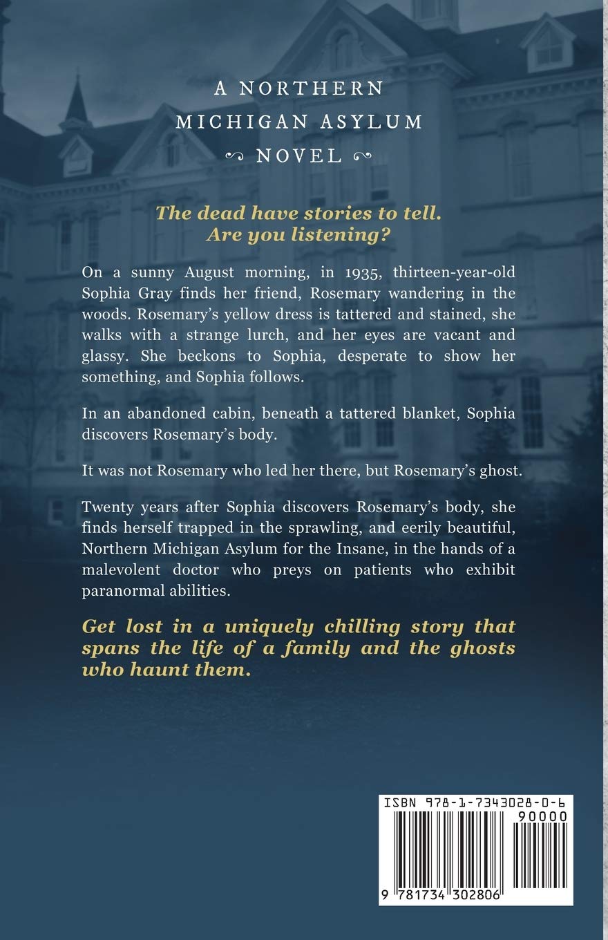 Some Can See: A Northern Michigan Asylum Novel - Psychological Thriller Book for Mystery Lovers | Perfect for Book Clubs & Dark Winter Reads