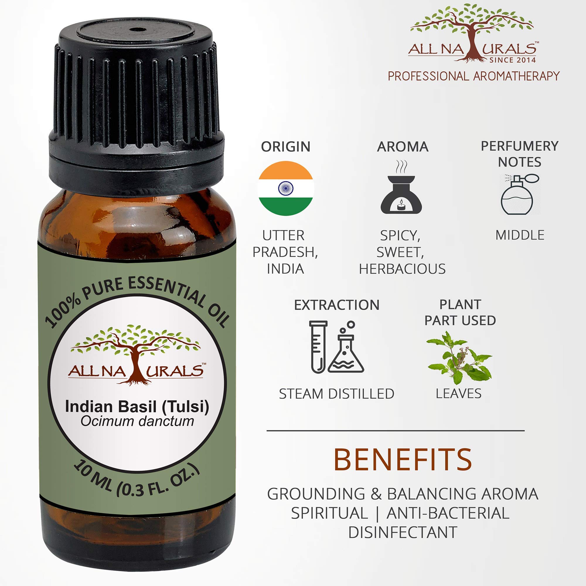 Pure Tulsi Essential Oil (15ml) - 100% Natural Holy Basil Oil for Aromatherapy, Meditation & Focus | Home Fragrance, Skin Care, Disinfection & Insect Repellent | USDA Certified Organic for Spiritual Wellness & Holistic Healing