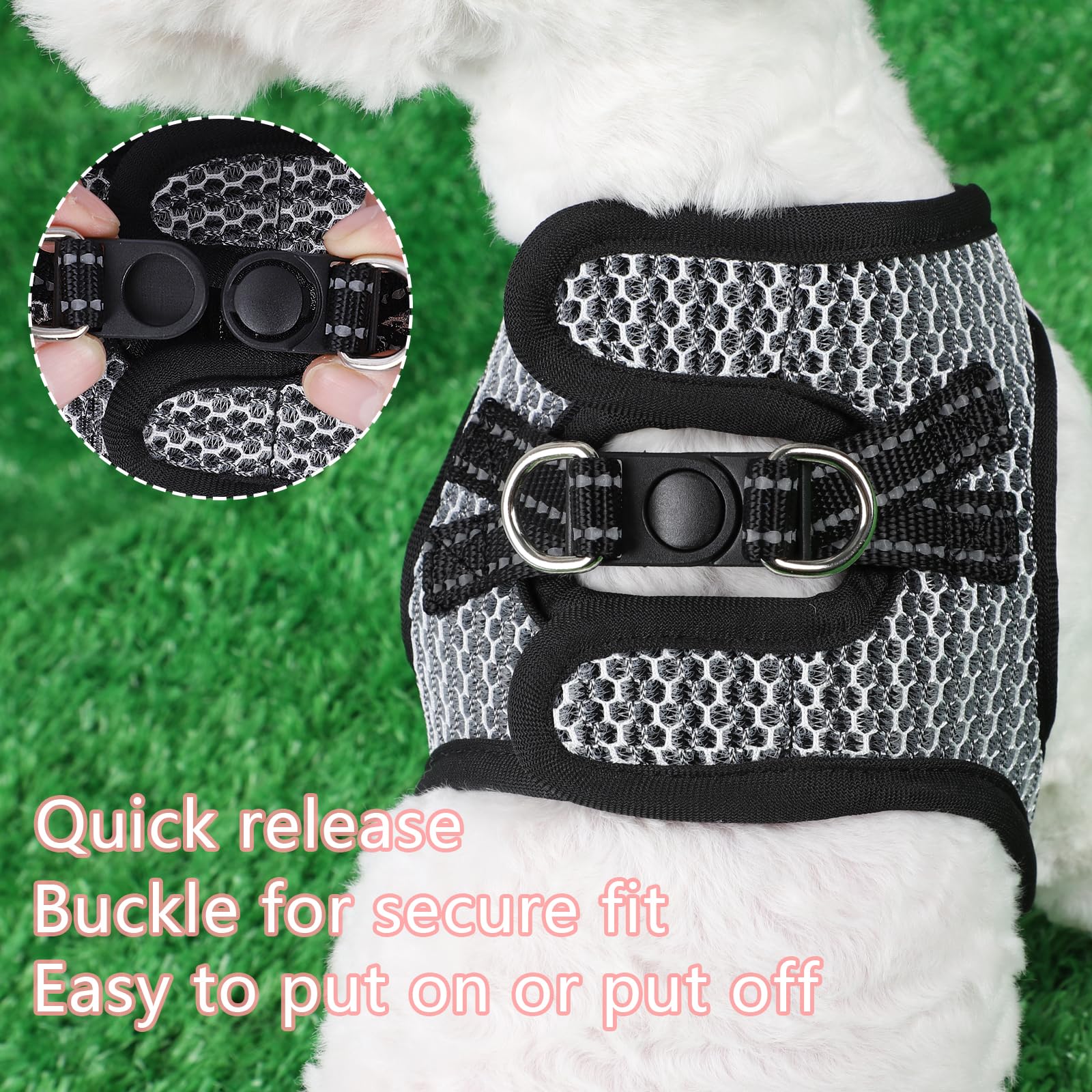 Premium Cat & Small Dog Harness - Adjustable XS Pet Harness for Puppies, Chihuahuas & Tiny Breeds - Comfortable Escape-Proof Design (Black, X-Small) - Perfect for Walking, Hiking & Outdoor Adventures