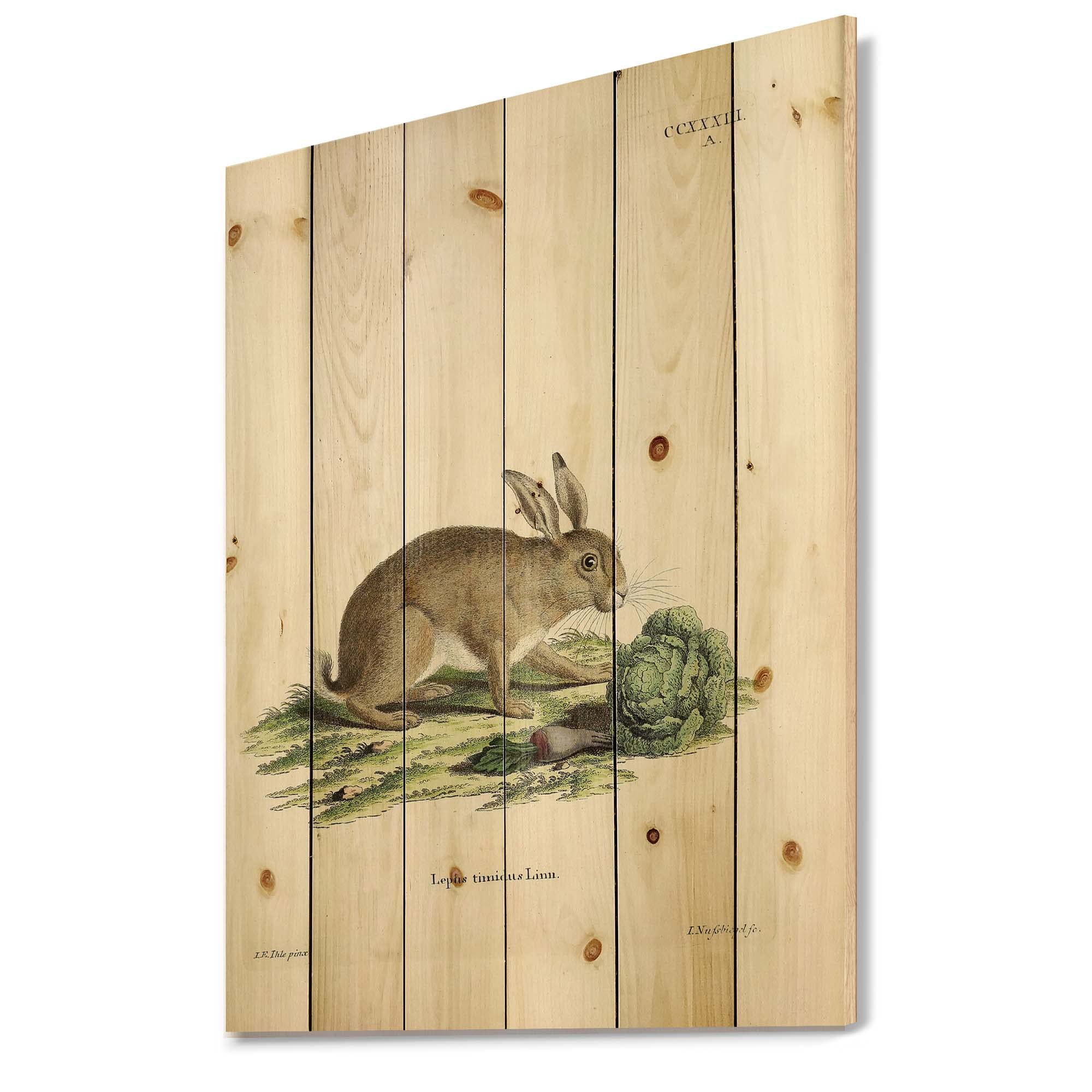 Vintage Rabbits in Earth Tones - Farmhouse Wood Wall Decor, Brown Wood Wall Art, Large Animal Wood Panels Printed on Natural Pine - Perfect for Rustic Home, Living Room, Bedroom & Nursery Decor