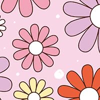 Cute Colorful Chamomile