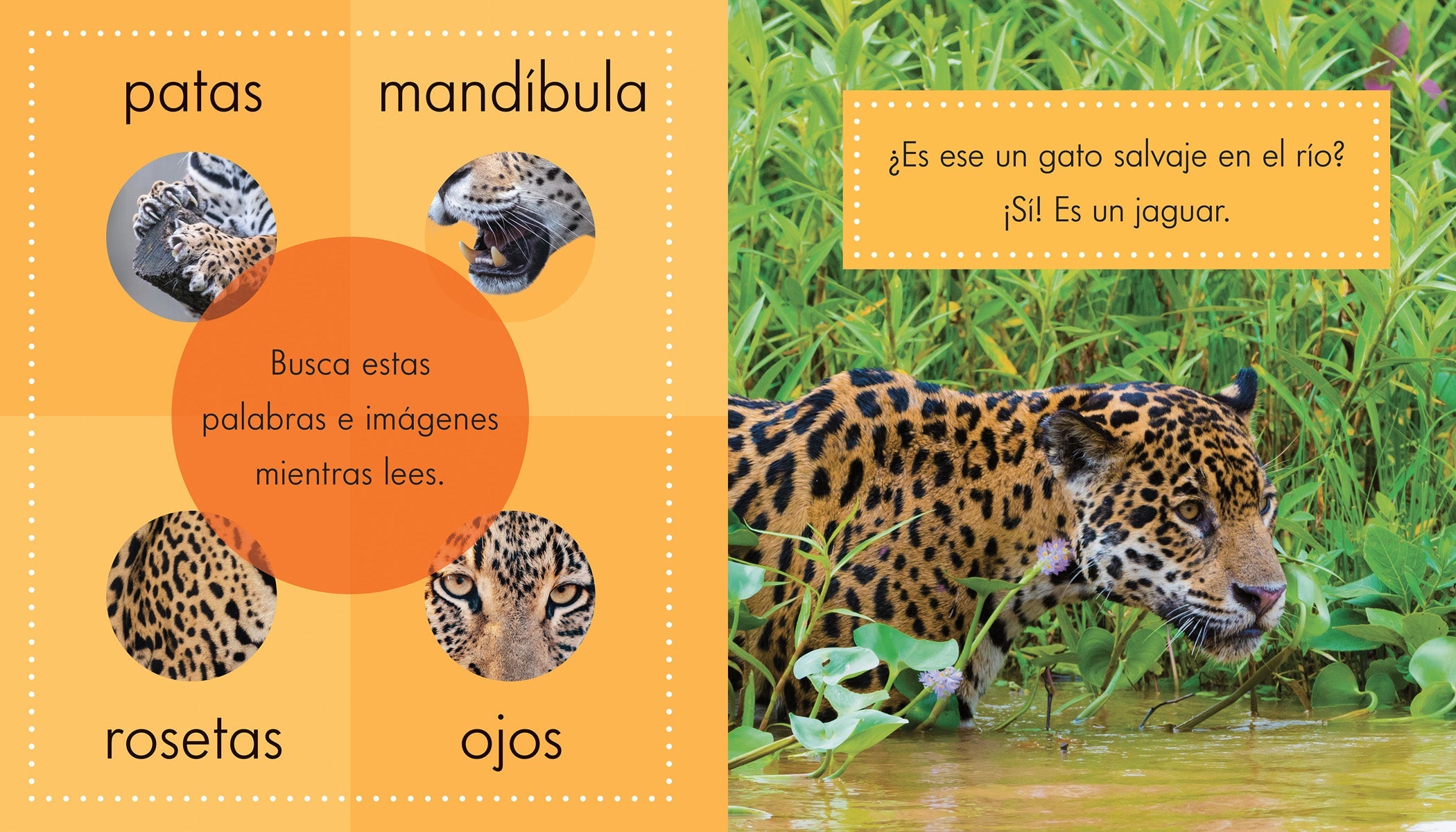 Los Jaguares - Authentic Handmade Jaguar Themed Jewelry & Accessories | Perfect for Gifts, Parties & Cultural Events