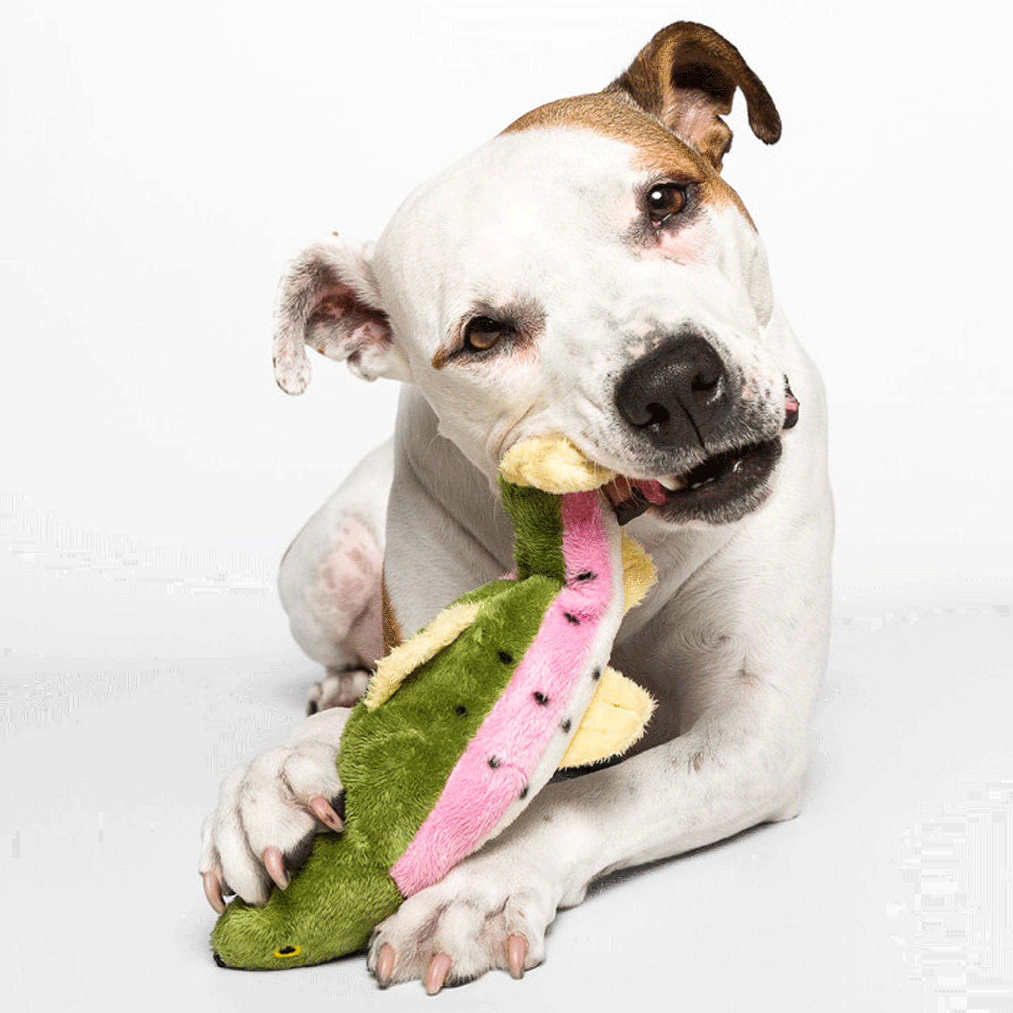 Fluff & Tuff Burt Lake Trout Dog Toy - Durable Plush Chew Toy for Medium & Large Dogs - Perfect for Fetch, Tug-of-War & Cuddling Playtime