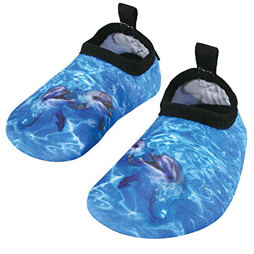 Dolphins