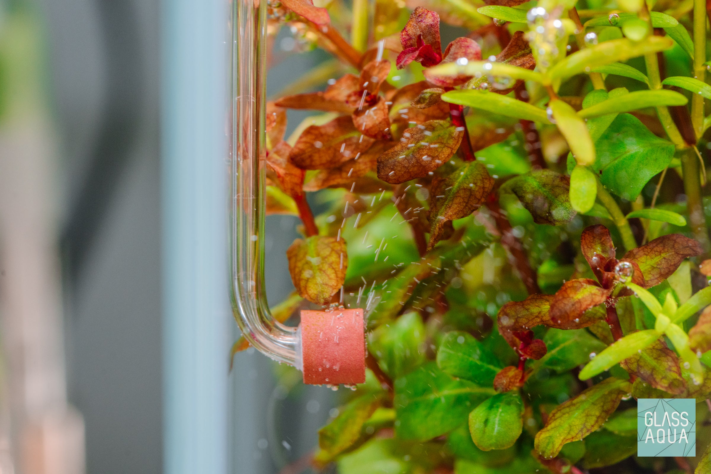 Aquarium CO2 Diffuser - Neo Curved Tiny Acrylic Bubble Diffuser for Planted Tanks | Enhance Aquatic Plant Growth in Nano & Small Fish Tanks