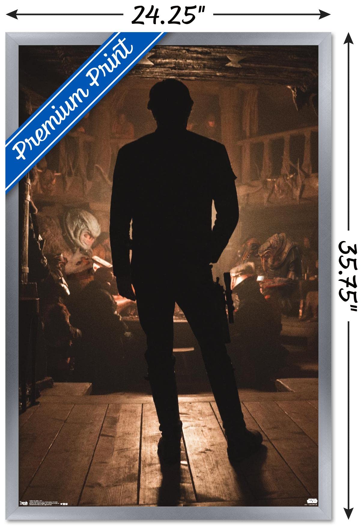 Trends International Star Wars: Solo - Han Wall Poster, 34