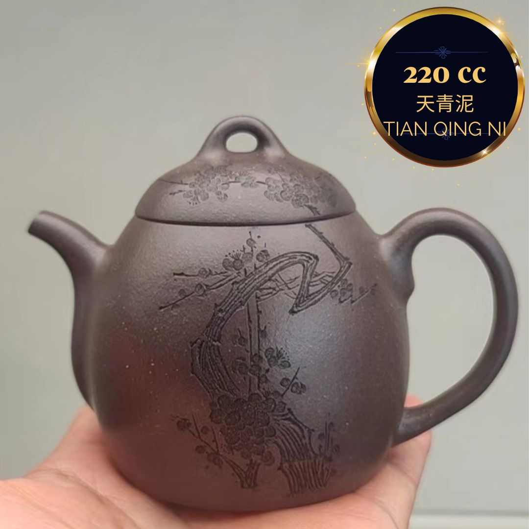 Handmade Zisha Teapot Qin Quan - Premium Tianqing Clay by Master Artist Liu Haixia | Perfect for Chinese Tea Ceremony & Gift Giving