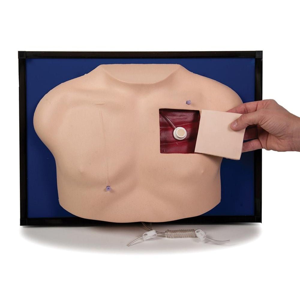 Premium Venous Access Device Model - High-Quality Medical IV Catheter for Hospitals & Clinics | Ideal for Emergency Care, Infusion Therapy & Blood Draws