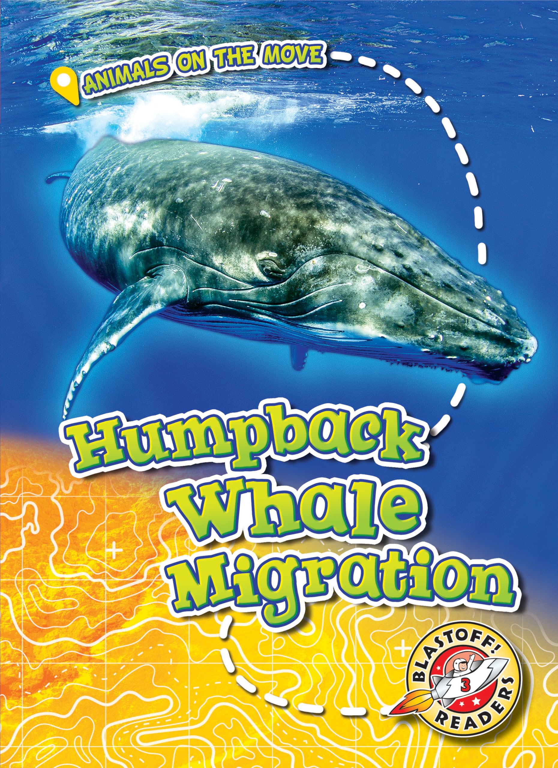 Humpback Whale Migration: Amazing Animal Journeys & Facts | Marine Life Adventure for Kids & Nature Lovers