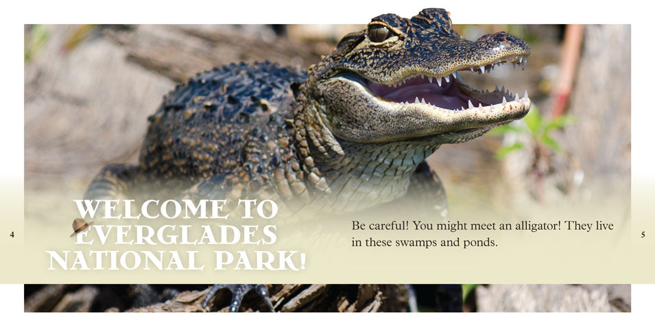 Everglades Book ISBN 9781608186310 - Explore Florida's Unique Ecosystem for Nature Lovers & Travelers