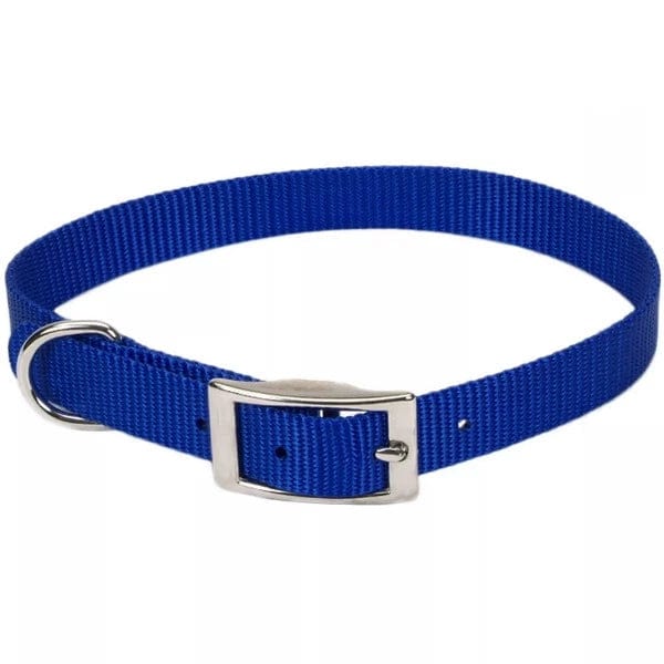 Premium Coastal Single Ply Dog Collar - Durable & Comfortable Pet Collar for Small to Medium Dogs - Perfect for Beach Walks & Outdoor Adventures