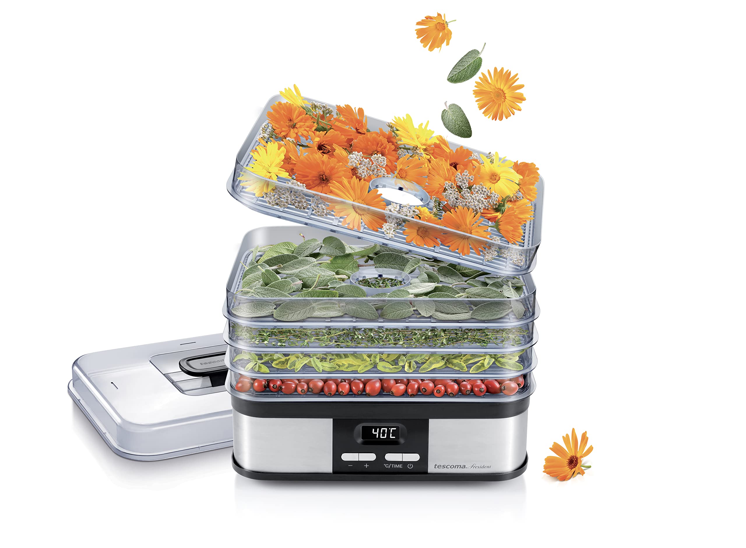 Tescoma President Electric Food Dehydrator - Stainless Steel for Drying Fruits, Vegetables, Herbs & Jerky - Perfect for Home Kitchen, Camping & Healthy Snacks