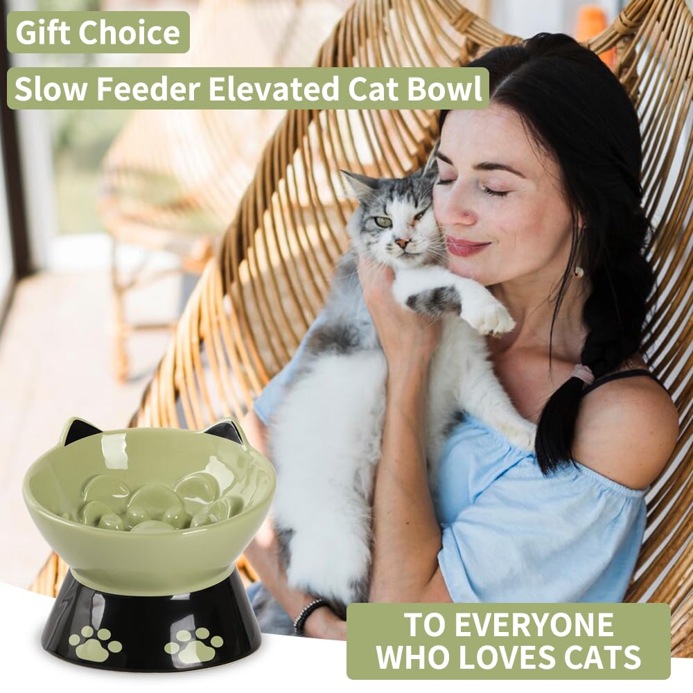Happy Kit Slow Feeder Dog Bowl - 6 Inch Non-Slip Silicone Base Cat Food Dish with Elevated Design for Better Digestion - Anti-Vomiting Ceramic Pet Bowl for Dry & Wet Food (Green) - Perfect for Fast Eaters & Mealtime Enrichment