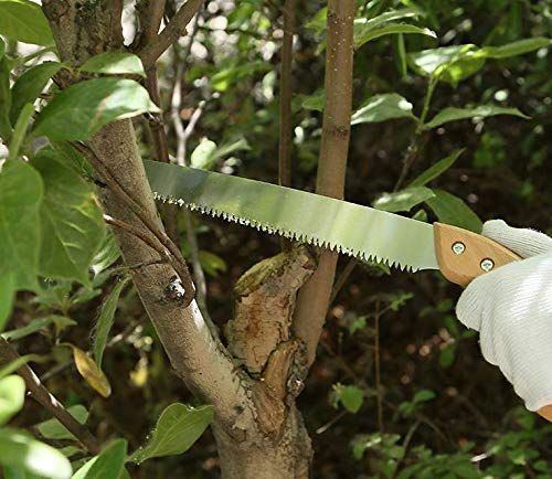 Best Hand Pruning Saw for Gardening & Camping - Heavy Duty Wood Cutting Tool for Tree Branches, Yard Work & Outdoor Survival | Perfect for Landscaping, DIY Projects & Bushcraft