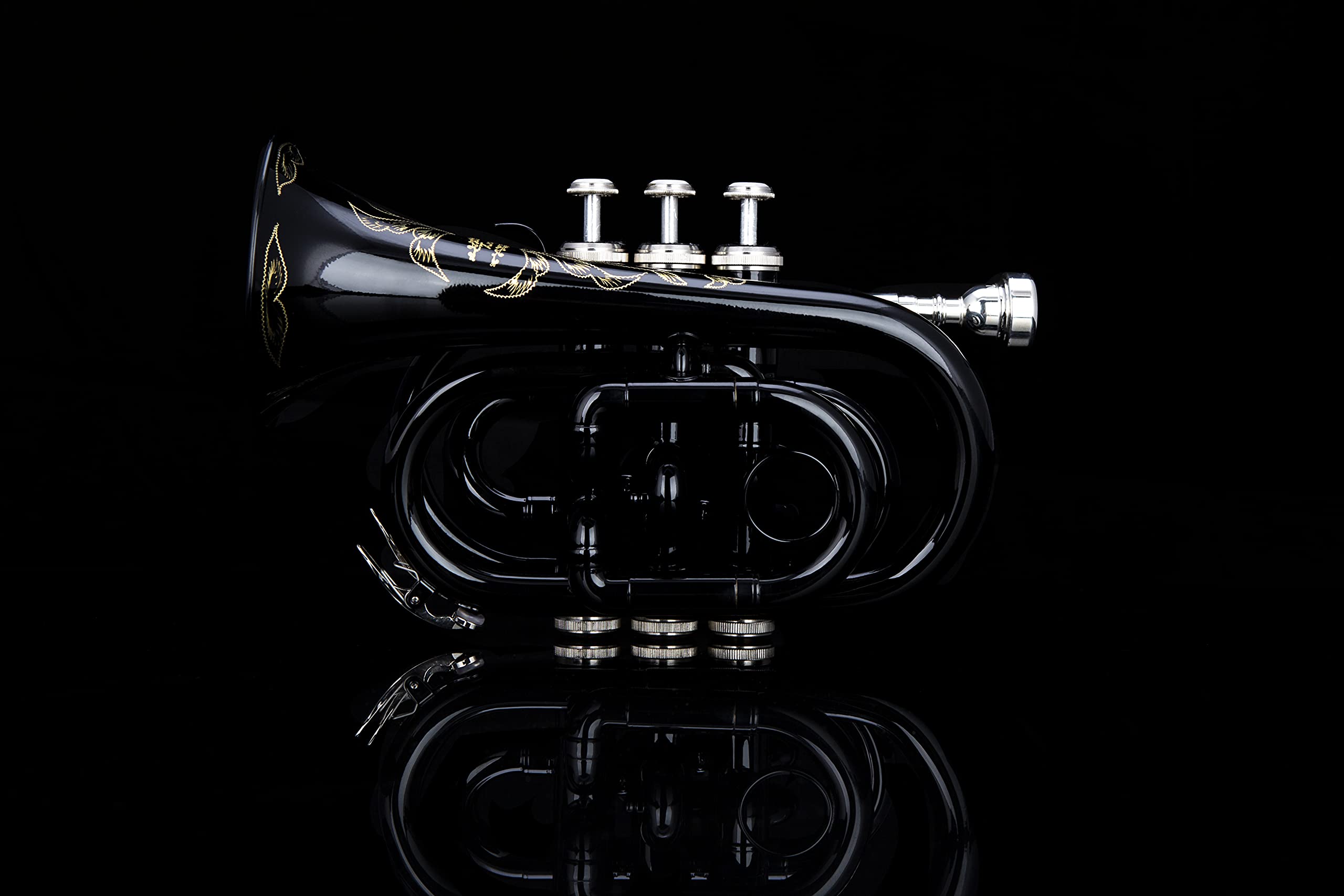 Glory Bb Pocket Trumpet with Hard Case - Professional Compact Brass Instrument for Travel & Practice | Includes Cleaning Cloth & Gloves | Perfect for Jazz, Beginners & Street Performers (Black)