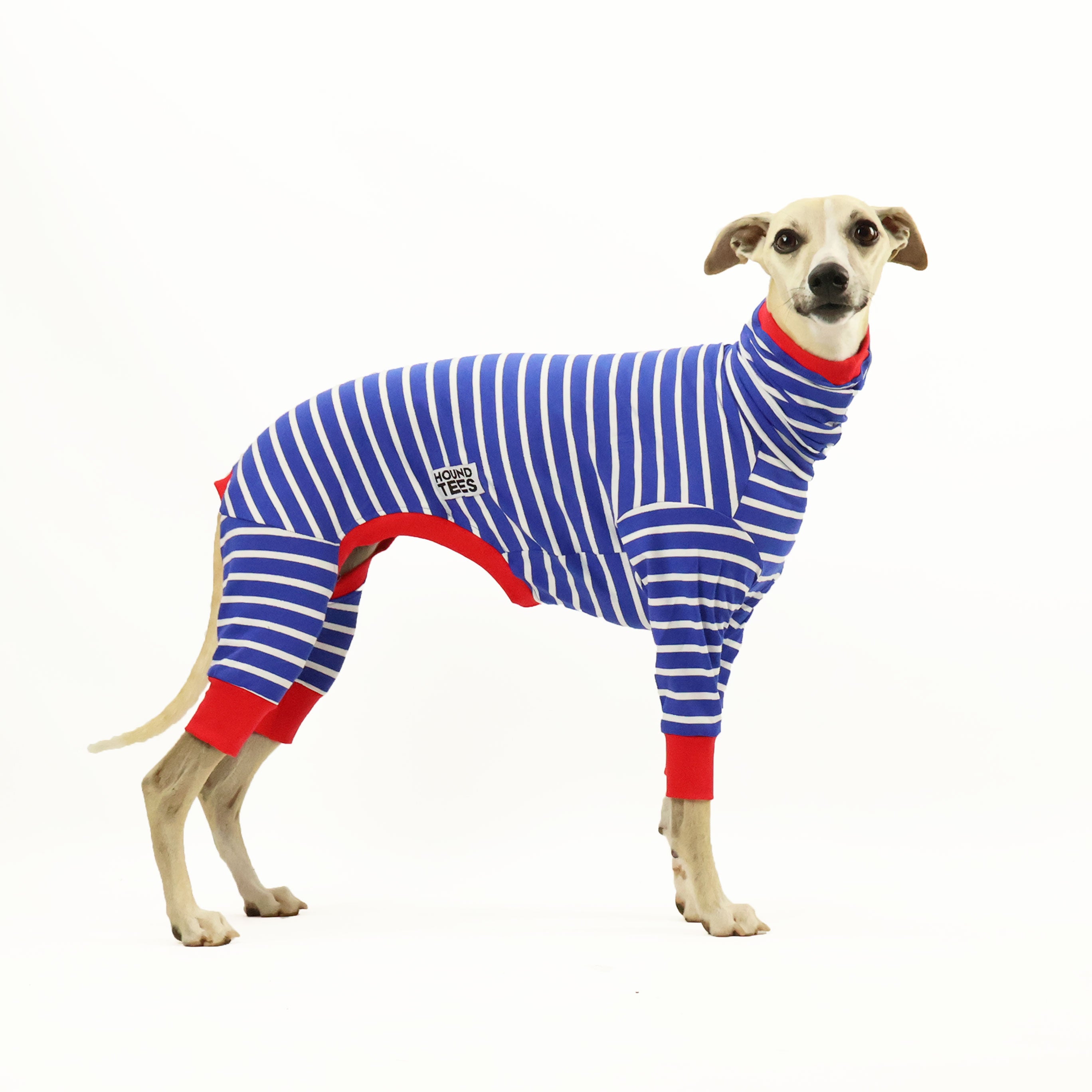 Blue Breton Whippet Long Johns Hound Tee - Comfortable Dog Graphic T-Shirt for Whippet Lovers | Perfect for Casual Wear, Dog Walks & Pet Owner Gifts