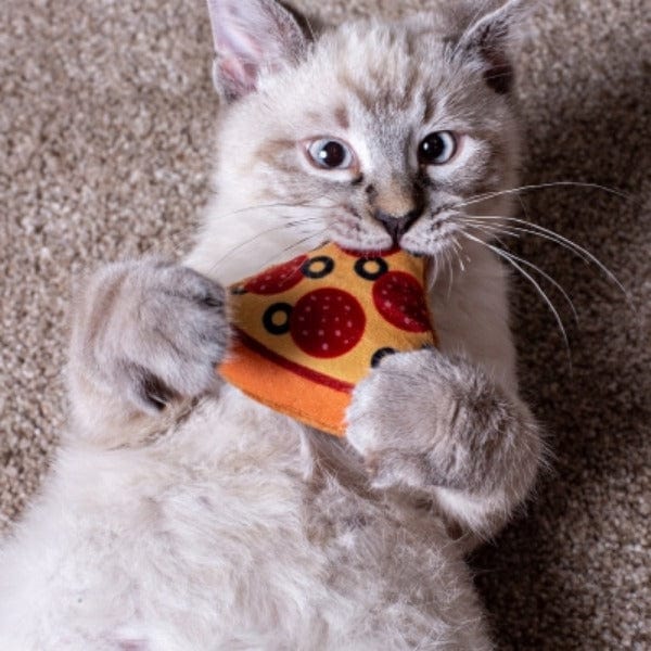 Multipet Pizza Cat Toy - Fun Interactive Catnip Toy for Indoor Cats, Perfect for Playtime & Training | Great Gift for Cat Lovers