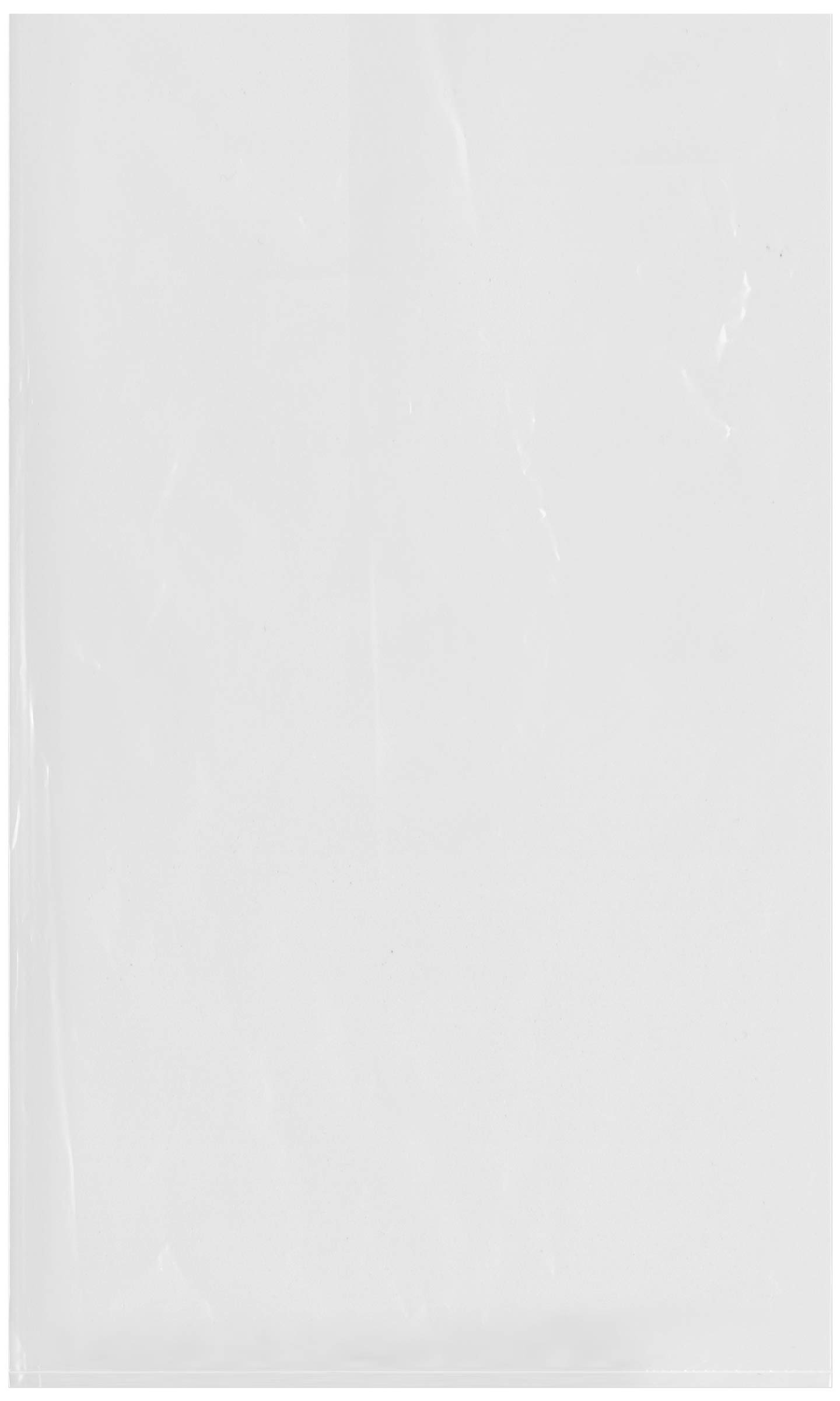 Clear Plastic Poly Bags 12