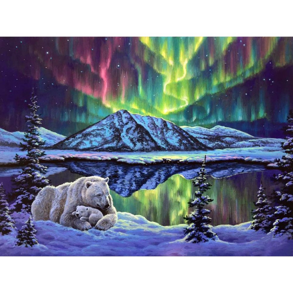 Adarl DIY Paint by Numbers Kit for Adults - Polar Aurora Landscape with Brushes & Canvas | Relaxing Art Therapy for Stress Relief & Home Decor