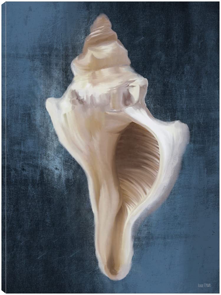 Fine Art Canvas Conch Shell Blues II Wall Decor - 21x28 Inches - Ready to Hang Coastal Beach Painting for Living Room, Bedroom, Office - Perfect for Beach House, Nautical Theme & Home Decor