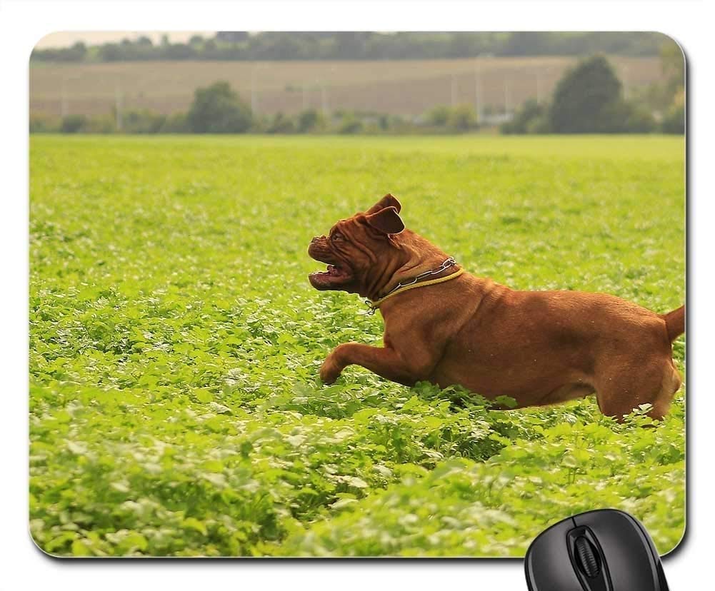 Premium Gaming Mouse Pad with Non-Slip Base - Large Mouse Mat for PC, Laptop & Office - Durable Dog Mastiffs Bordeaux Design - Perfect for Summer Gaming & Outdoor Work Setup