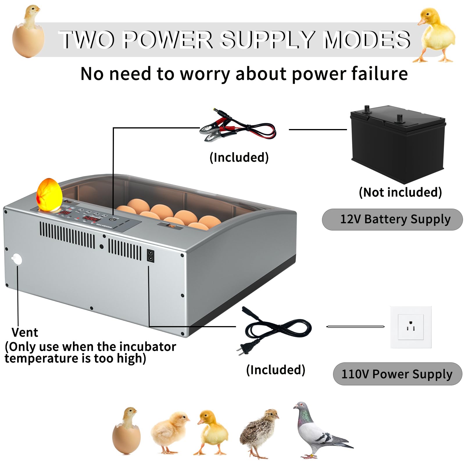 Automatic Egg Incubator for Hatching Chicken Duck Pigeon Goose Quail Eggs - Digital Temperature & Humidity Control with Auto Egg Turner - Perfect for Backyard Poultry Farming and Homesteading (24-36 Egg Capacity)