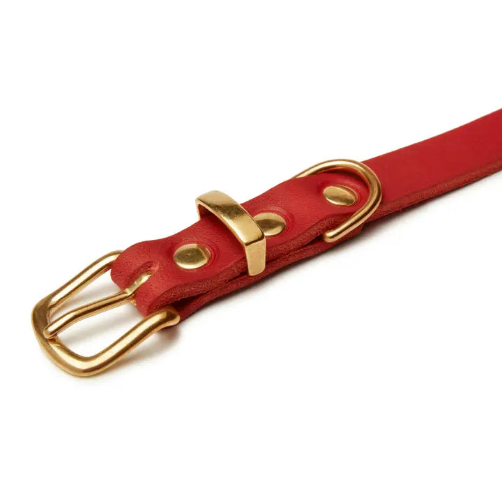 Stylish Chili Red Dog Collar - Durable & Adjustable Pet Collar for Small to Medium Dogs - Perfect for Walks, Training & Everyday Use