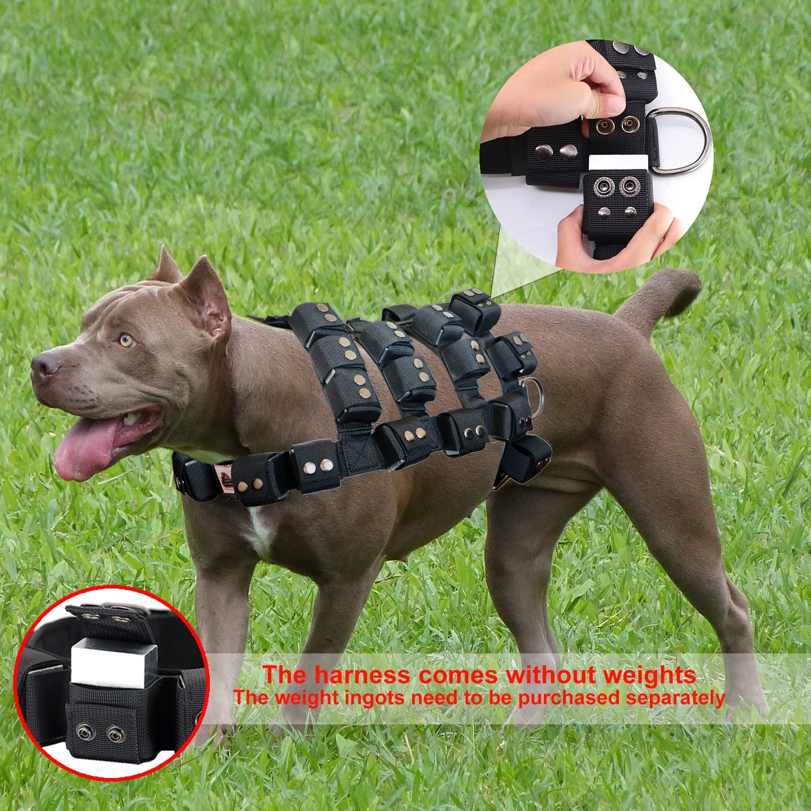 Adjustable Weighted Dog Vest Harness for Small, Medium & Large Dogs - No Pull Tactical Harness with Pockets for Pit Bulls | Weight Loss, Exercise & Muscle Training | Perfect for Walking, Hiking & Outdoor Adventures