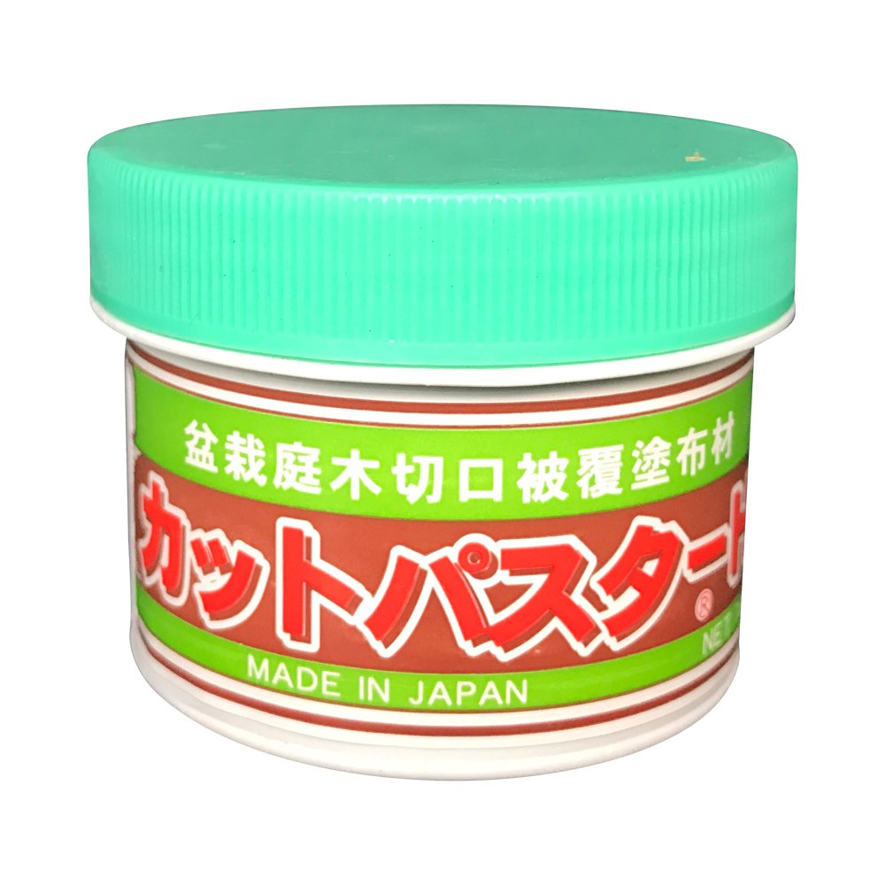 Premium Bonsai Cut Paste for Conifers - 160g Japanese Made Pruning Sealer | Tree Wound Sealant for Bark Injuries & Perimeter Cuts | Ideal for Bonsai Care, Gardening & Tree Maintenance
