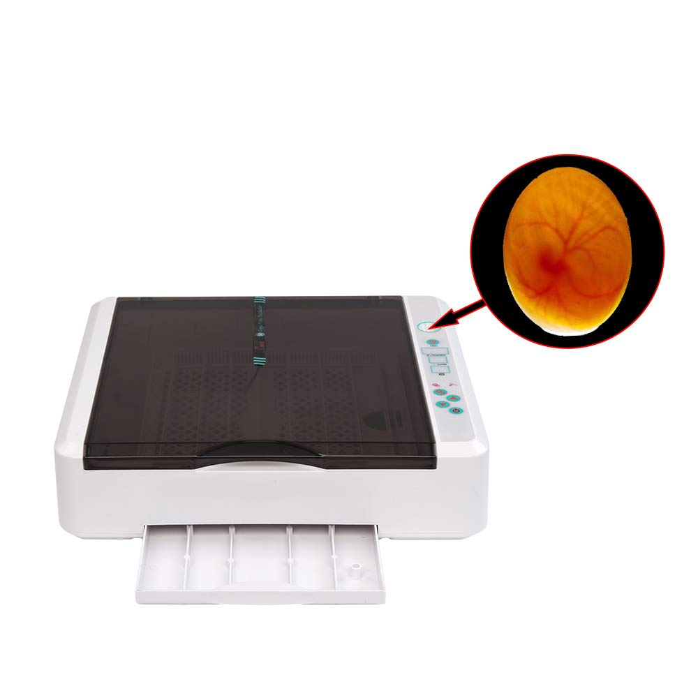 MengK 36 Egg Automatic Chicken Egg Incubator with LED Display & US Plug - Perfect for Poultry Farming, Hatching Chicks at Home or School Projects