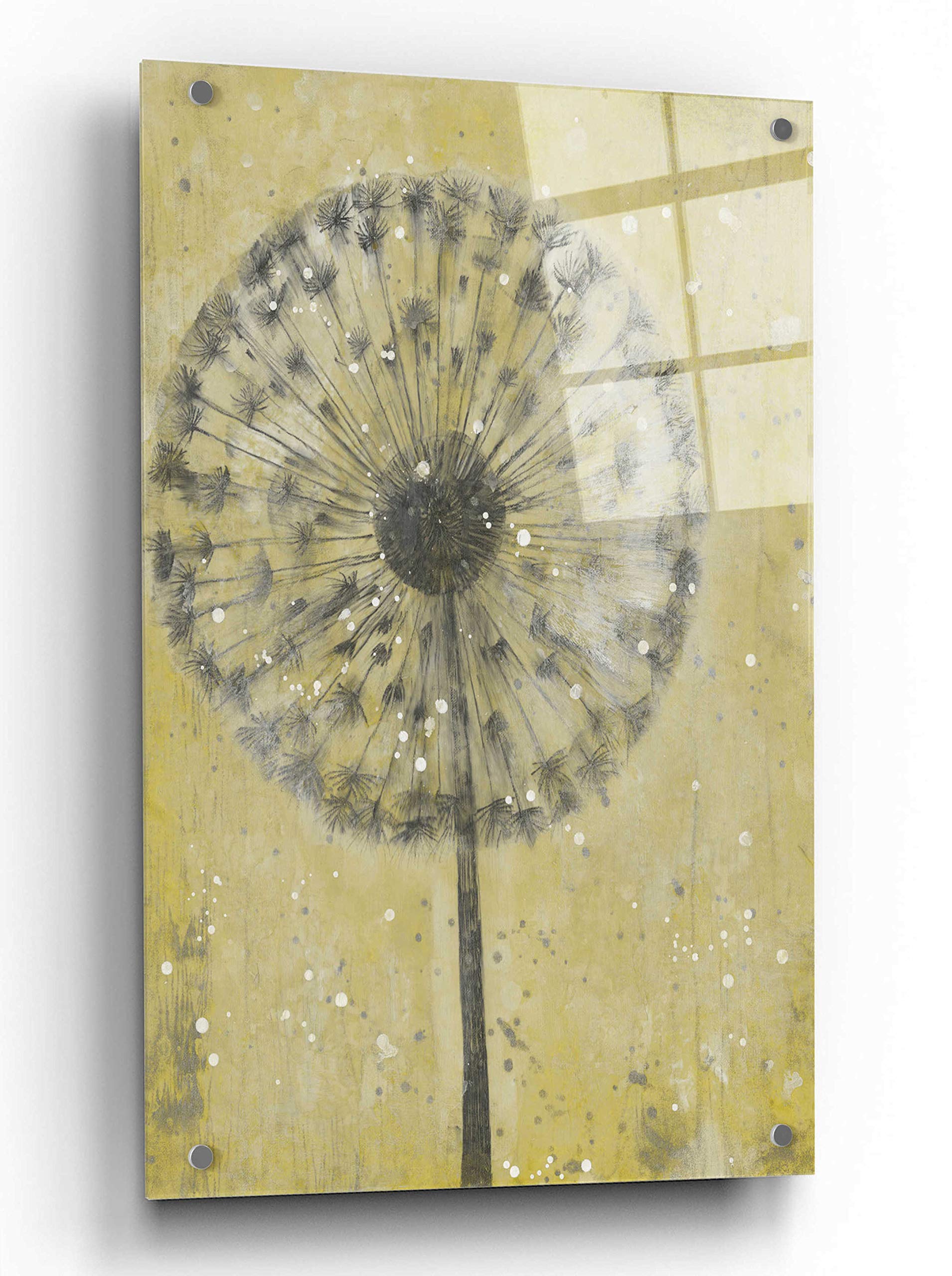 Tim O'Toole Dandelion Abstract II Acrylic Glass Wall Art - 24x36 Inches Modern Home Decor for Living Room, Bedroom & Office