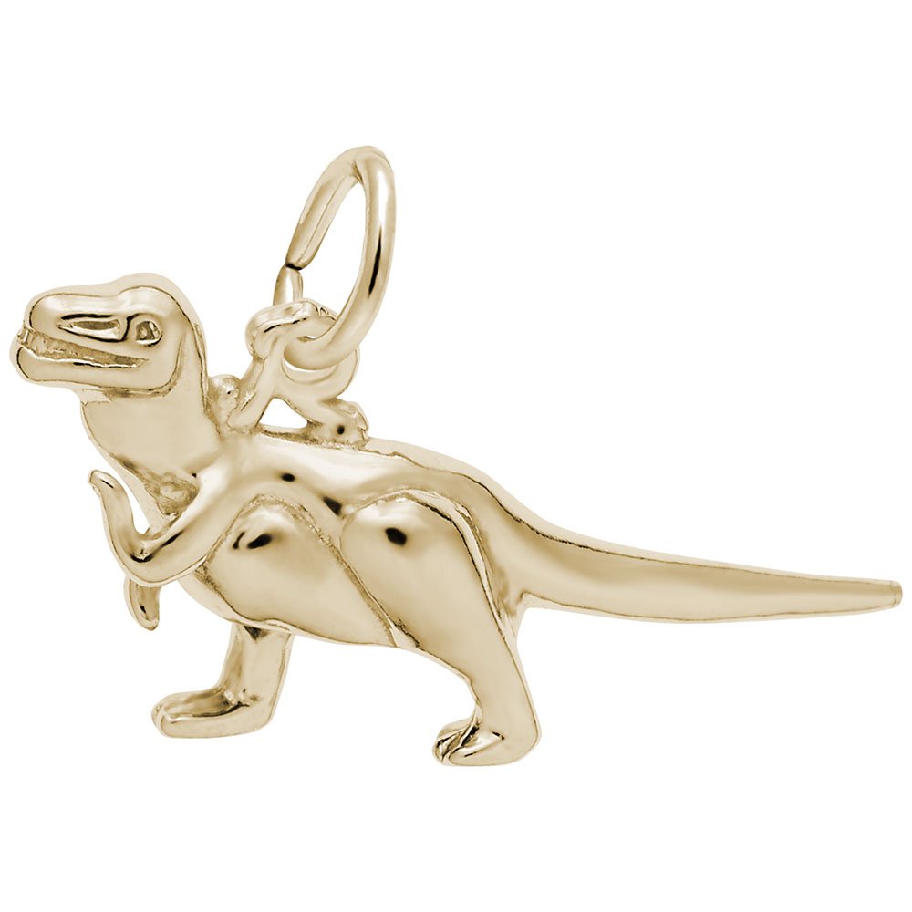 10K Yellow Gold Rex Charm Pendant - Dainty Jewelry for Bracelets & Necklaces - Perfect for Gifts, Layering & Everyday Wear
